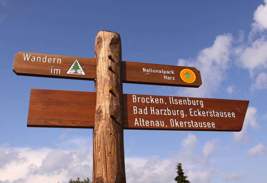 Erkunden Sie die malerischen Wälder und idyllischen Seen im Harz.