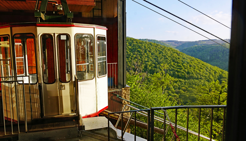 Willkommen im Gästehaus Kammakrug in Bad Harzburg – ein gemütlicher Ausgangspunkt für erholsame Urlaubstage im Harz.