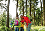 Der Nationalpark Harz ist die perfekte Kulisse für gemütliche oder ausgedehnte Wanderungen.