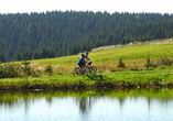 Die Region um Bad Harzburg eignet sich wunderbar für eine Fahrradtour!
