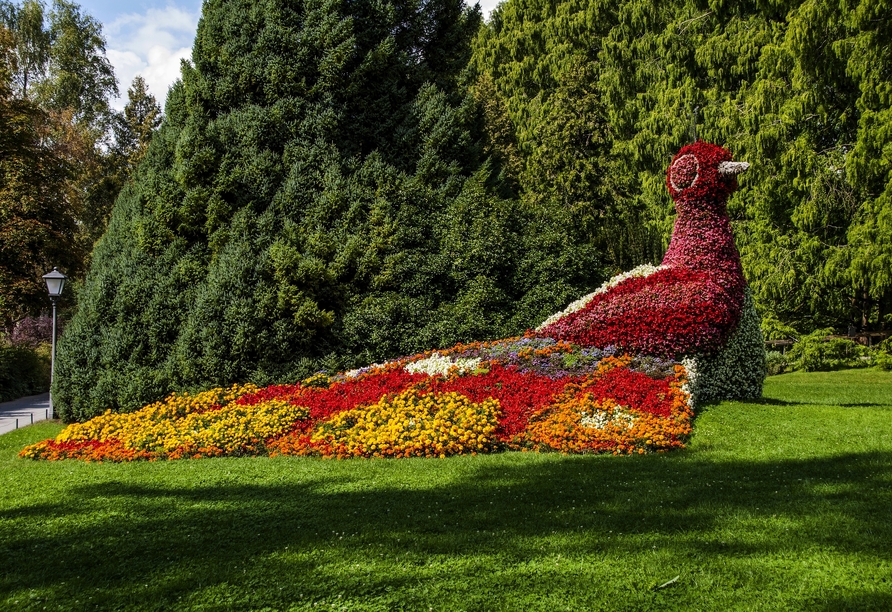 Die Insel Mainau begeistert mit ihrer farbenprächtigen Blütenvielfalt.
