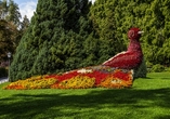 Die Insel Mainau begeistert mit ihrer farbenprächtigen Blütenvielfalt.
