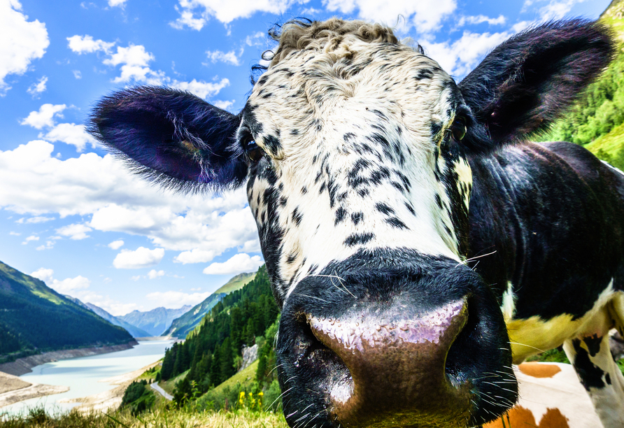 Freuen Sie sich auf tierisch tolle Aussichten!