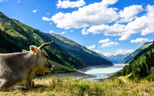 Herzlich willkommen im wunderschönen Kaunertal!