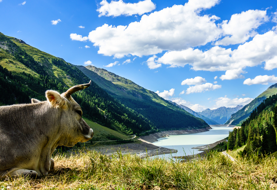 Herzlich willkommen im wunderschönen Kaunertal!