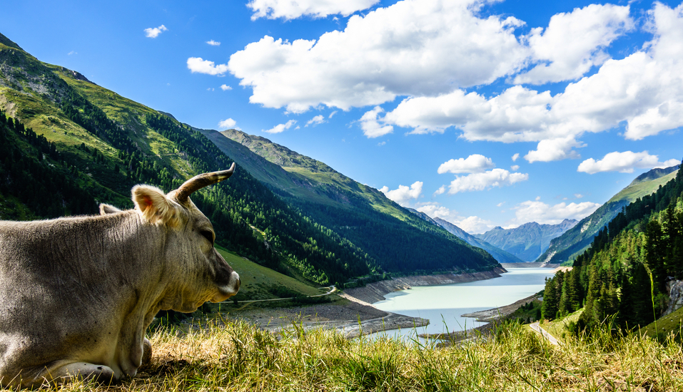 Herzlich willkommen im wunderschönen Kaunertal!