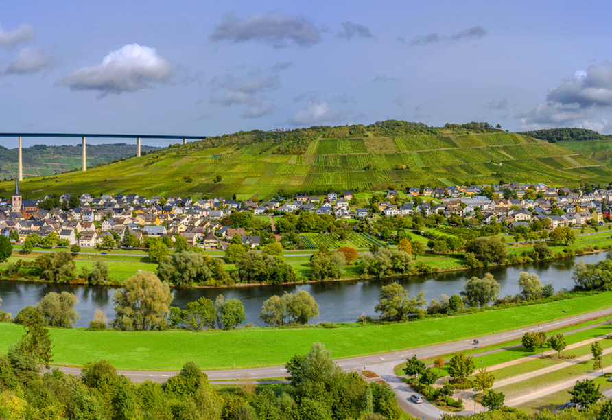 Panorama von Winningen an der Mosel