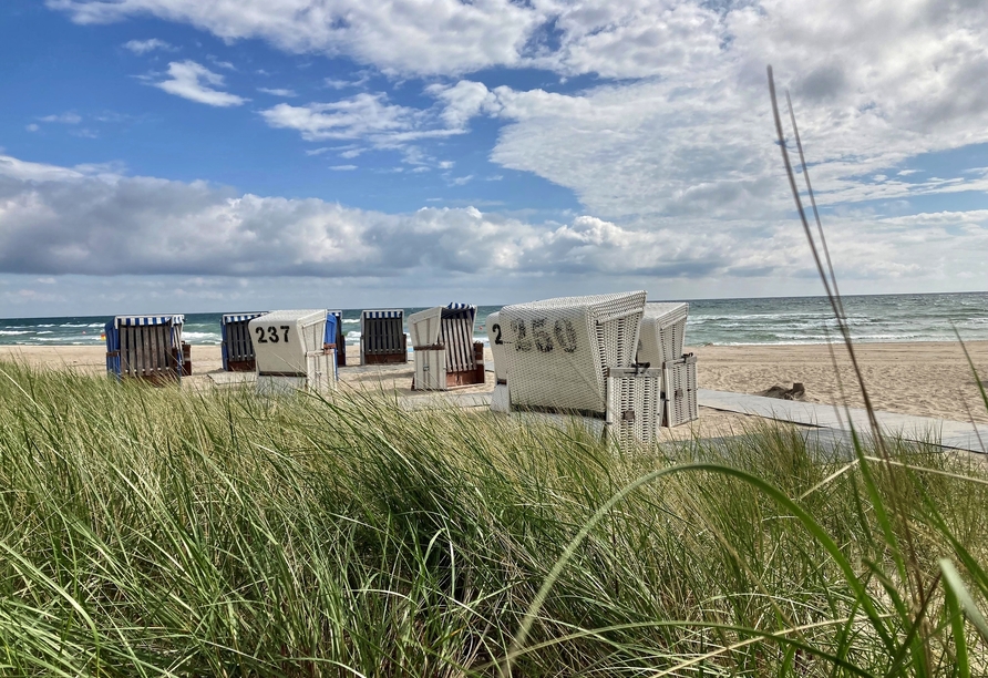 Freuen Sie sich auf Ihren Urlaub am langen Ostseestrand von Damp.