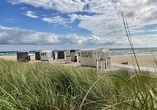 Freuen Sie sich auf Ihren Urlaub am langen Ostseestrand von Damp.