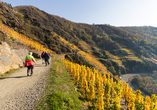 Der berühmte Rotweinwanderweg führt Sie zu spektakulären Panoramen.