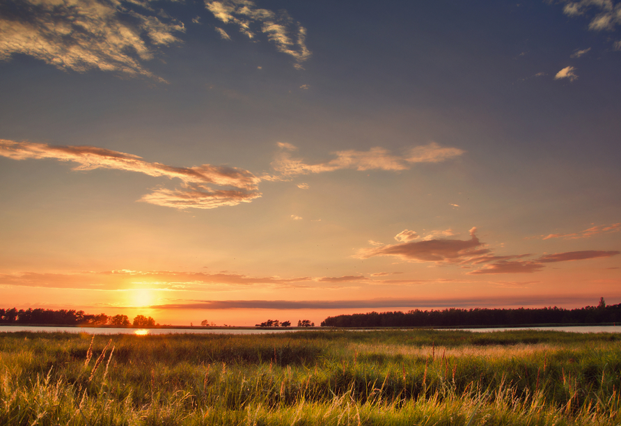 Traumhafte Küstenlandschaft am Bodden