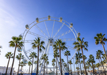 Der Hafen Puerto Marina verfügt über ein 40 Meter hohes Riesenrad namens Mirador Princesa.