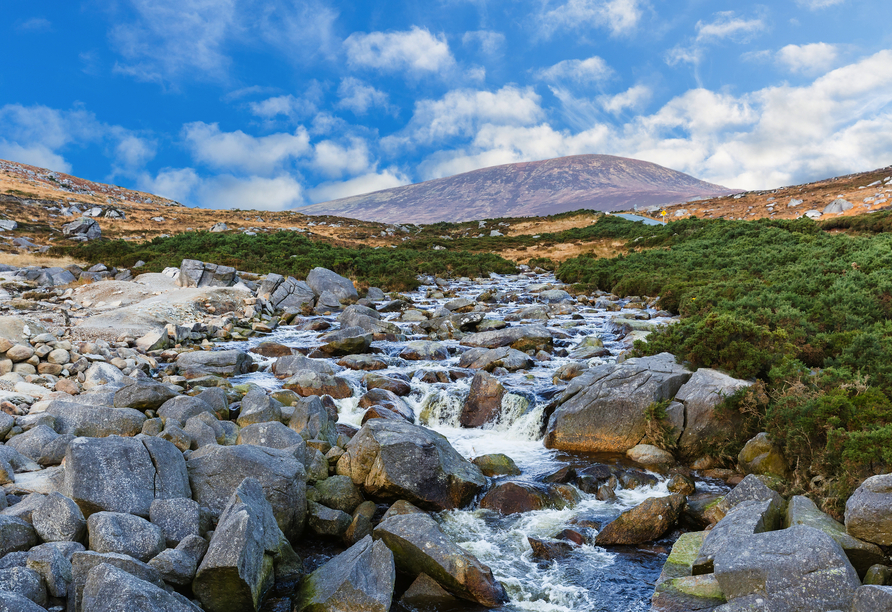 Der Wicklow Nationalpark wird Ihnen noch lange in Erinnerung bleiben.