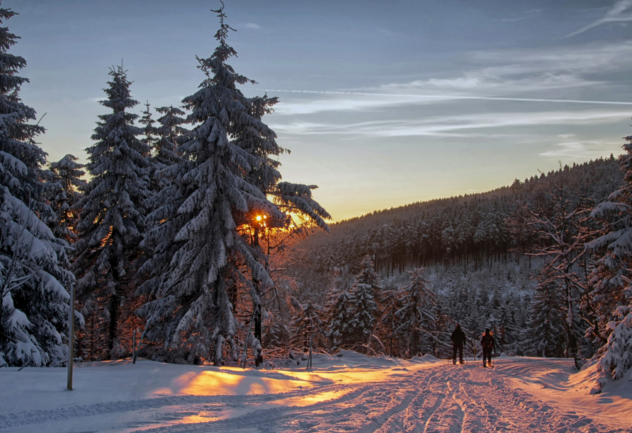 Lassen Sie sich von der zauberhaften Winterlandschaft des Thüringer Waldes verzaubern.