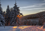 Lassen Sie sich von der zauberhaften Winterlandschaft des Thüringer Waldes verzaubern.