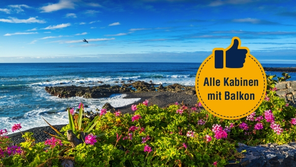 Freuen Sie sich auf eine traumhafte Kreuzfahrt durch die Kanaren.