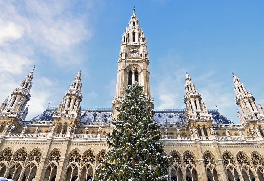 Der Stephansdom im winterlichen Glanz