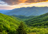 Ihre Fahrt von Washington D.C. nach Roanoke führt Sie durch die Blue Ridge Mountains.