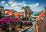 Lassen Sie sich von den kleinen Wegen und Gassen der Dubrovnik Altstadt verzaubern.