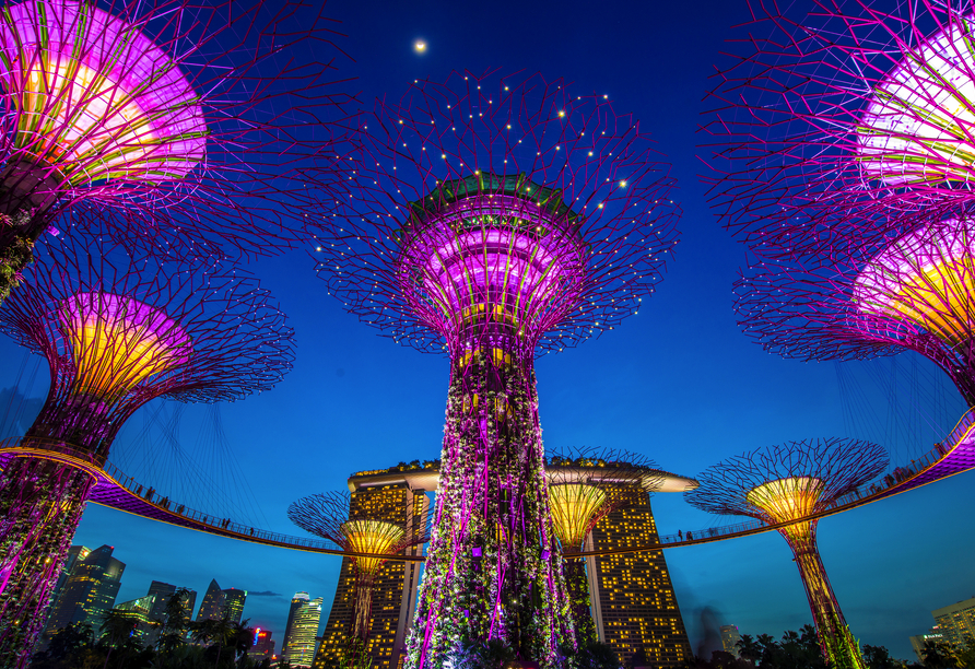 In den Gardens by the Bay erwarten Sie die futuristischen Supertrees.