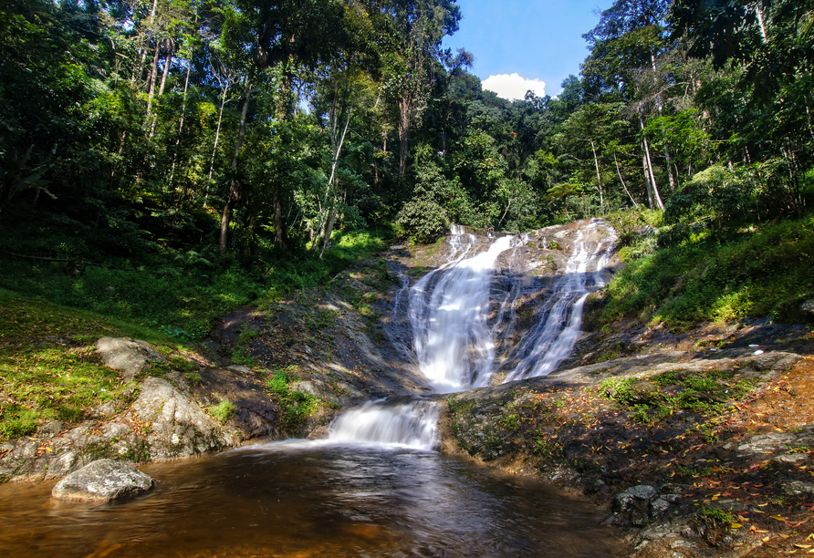 Die Lata Iskandar Wasserfälle sind der perfekte Ort für eine erfrischende Pause.