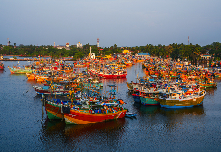 Der geschäftige Hafen von Beruwala
