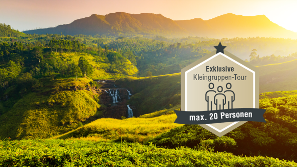 Willkommen auf Ihrer Traumreise nach Sri Lanka, wo malerische Landschaften mit Teeplantagen, goldenen Stränden und kulturellen Schätzen eine unvergessliche Kulisse für Ihre Reiseerlebnisse bilden.