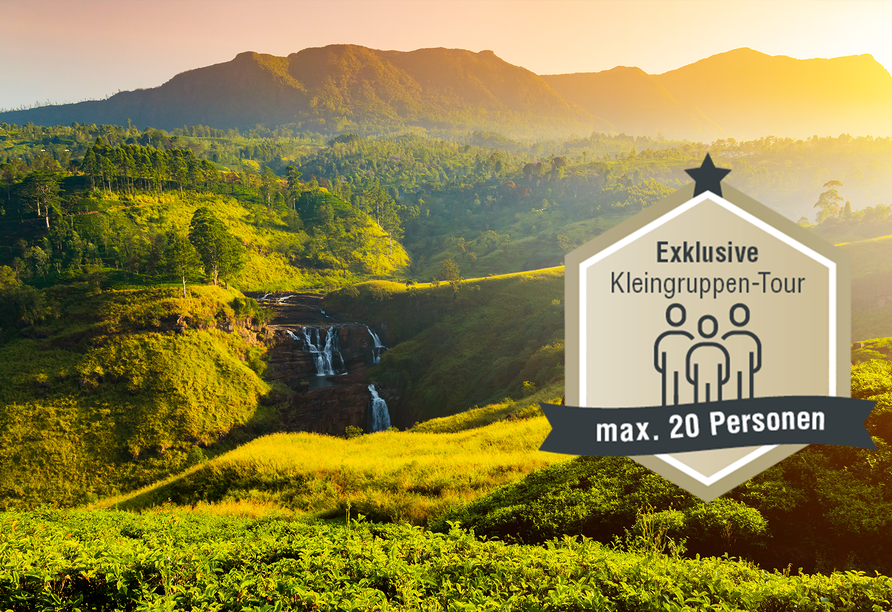 Willkommen auf Ihrer Traumreise nach Sri Lanka, wo malerische Landschaften mit Teeplantagen, goldenen Stränden und kulturellen Schätzen eine unvergessliche Kulisse für Ihre Reiseerlebnisse bilden.
