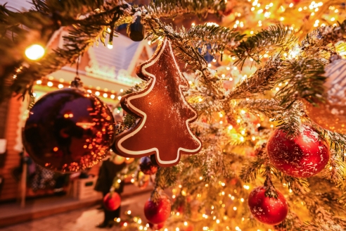 Willkommen zu Ihrem besinnlichen Weihnachtsurlaub!