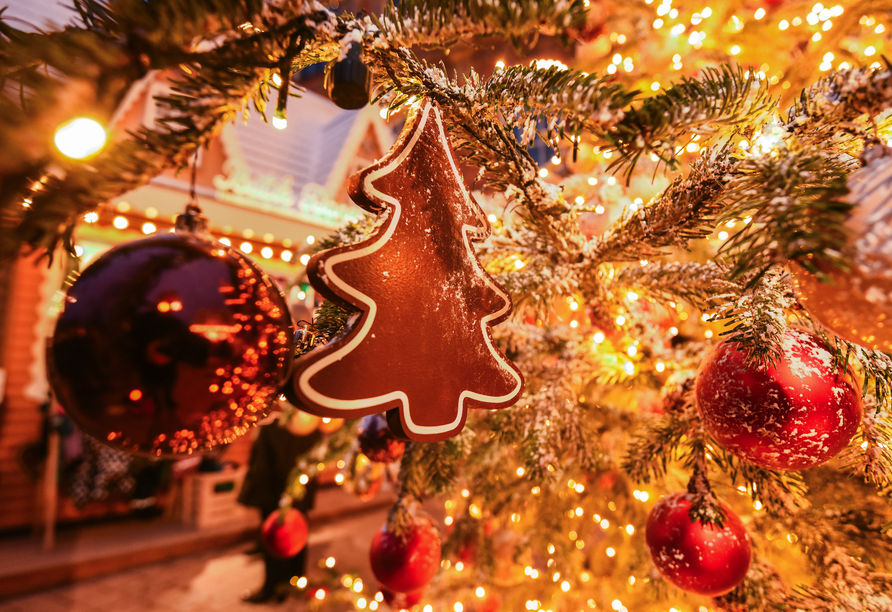 Willkommen zu Ihrem besinnlichen Weihnachtsurlaub!