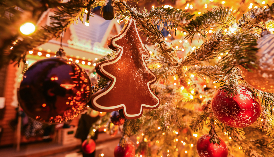 Willkommen zu Ihrem besinnlichen Weihnachtsurlaub!