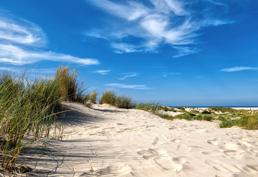 Freuen Sie sich auf die herrlichen Dünen, die Sie auf Borkum erwarten! 