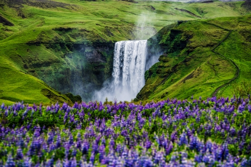 Freuen Sie sich auf eindrucksvolle Natur in Island, wir hier den Skógafoss-Wasserfall.