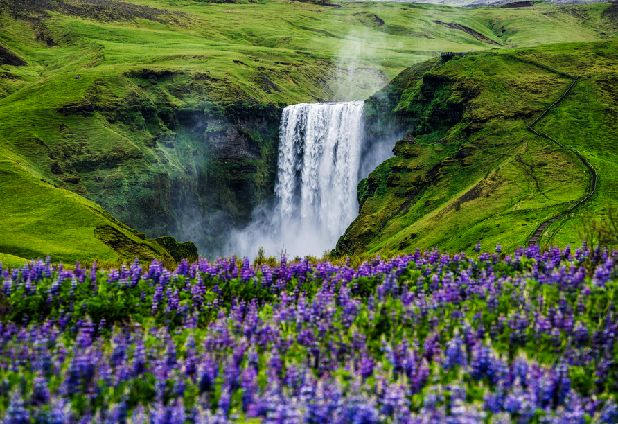 Freuen Sie sich auf eindrucksvolle Natur in Island, wir hier den Skógafoss-Wasserfall.