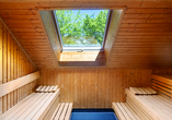 Sauna im Hotel am Zoo