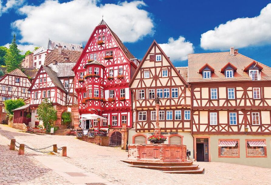 Lassen Sie sich von dem idyllischen Städtchen Miltenberg verzaubern.