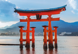Der berühmte Itsukushima-Schrein scheint bei Flut über dem Wasser zu schweben.