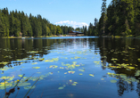 Der malerische Arbersee ist nur einen Katzensprung entfernt.