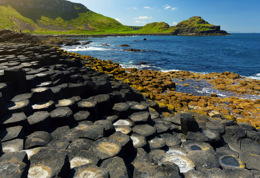 Der Giants Causeway ist ein tolles Fotomotiv.
