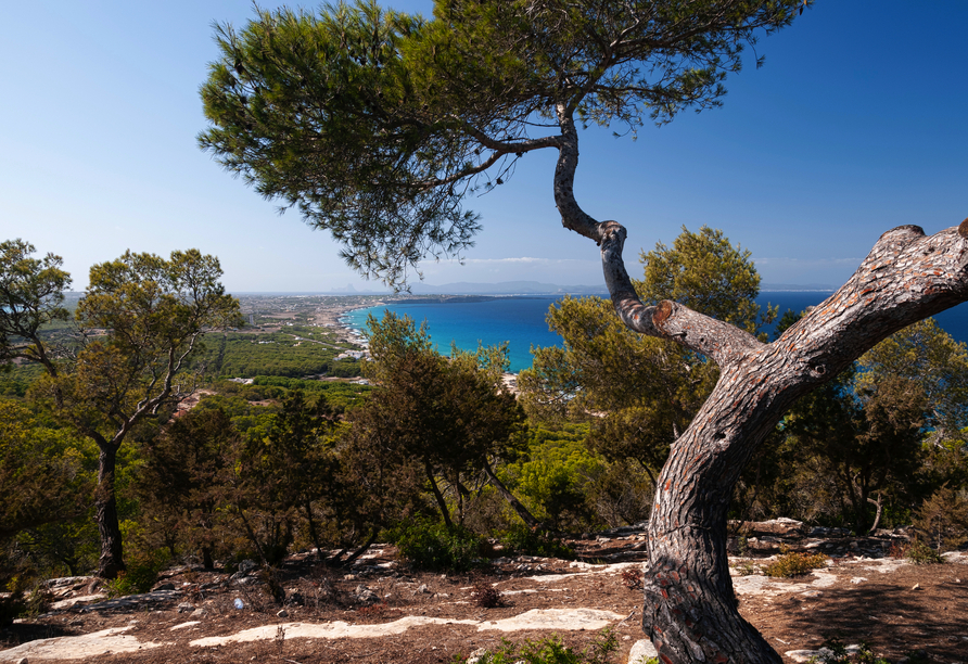 Genießen Sie die Aussicht vom El Mirador auf Formentera.