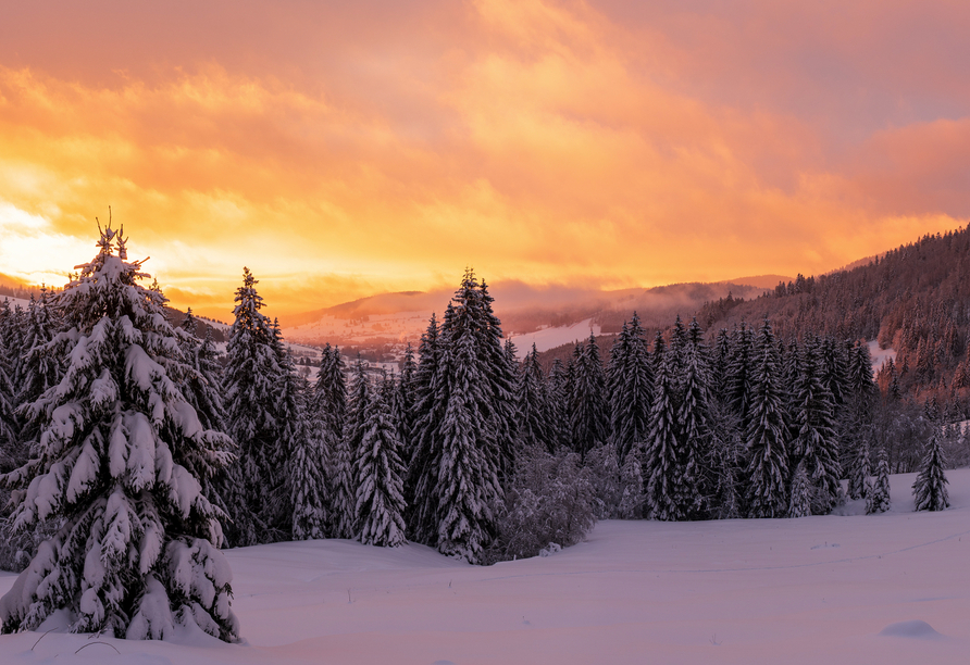 Die märchenhafte Winterkulisse des Schwarzwaldes verzaubert jeden Urlauber.