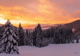 Die märchenhafte Winterkulisse des Schwarzwaldes verzaubert jeden Urlauber.
