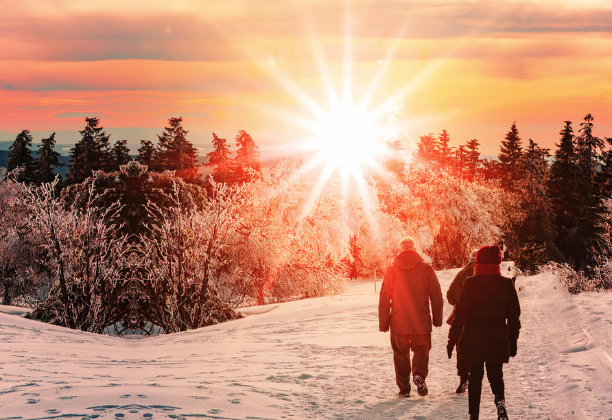 Wunderschöner Schwarzwald im Winter