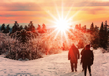 Wunderschöner Schwarzwald im Winter