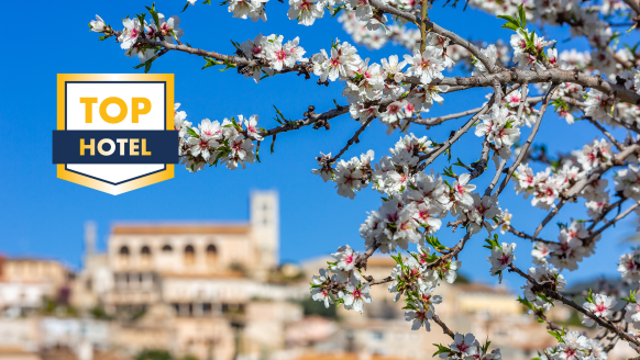 Alle Jahre wieder verzaubert die Mandelblüte die Insel Mallorca.