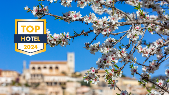 Alle Jahre wieder verzaubert die Mandelblüte die Insel Mallorca.
