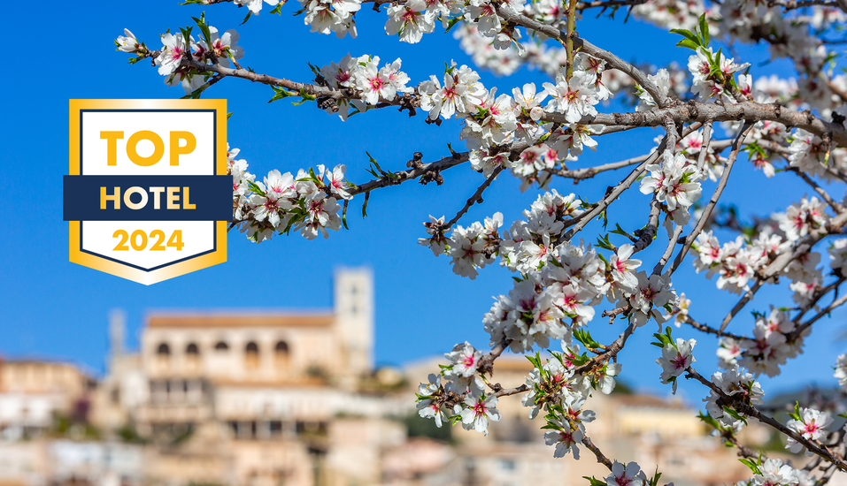 Alle Jahre wieder verzaubert die Mandelblüte die Insel Mallorca.