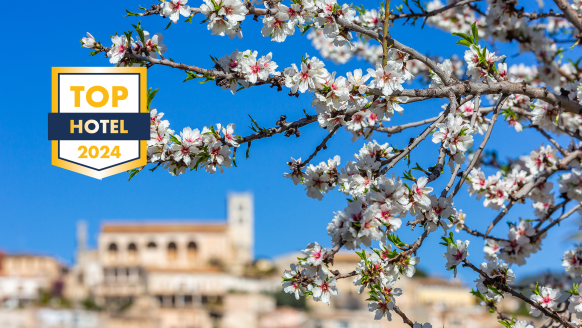 Alle Jahre wieder verzaubert die Mandelblüte die Insel Mallorca.