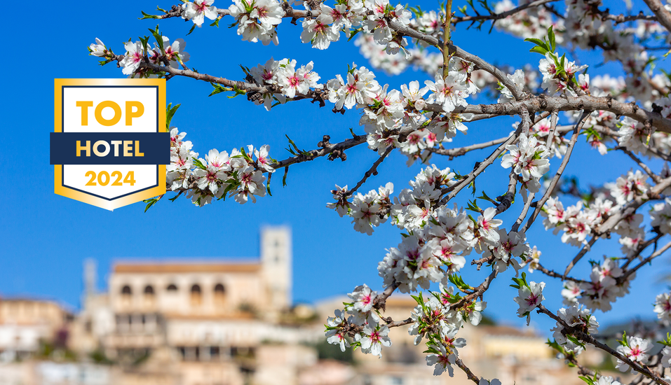 Alle Jahre wieder verzaubert die Mandelblüte die Insel Mallorca.