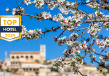 Alle Jahre wieder verzaubert die Mandelblüte die Insel Mallorca.